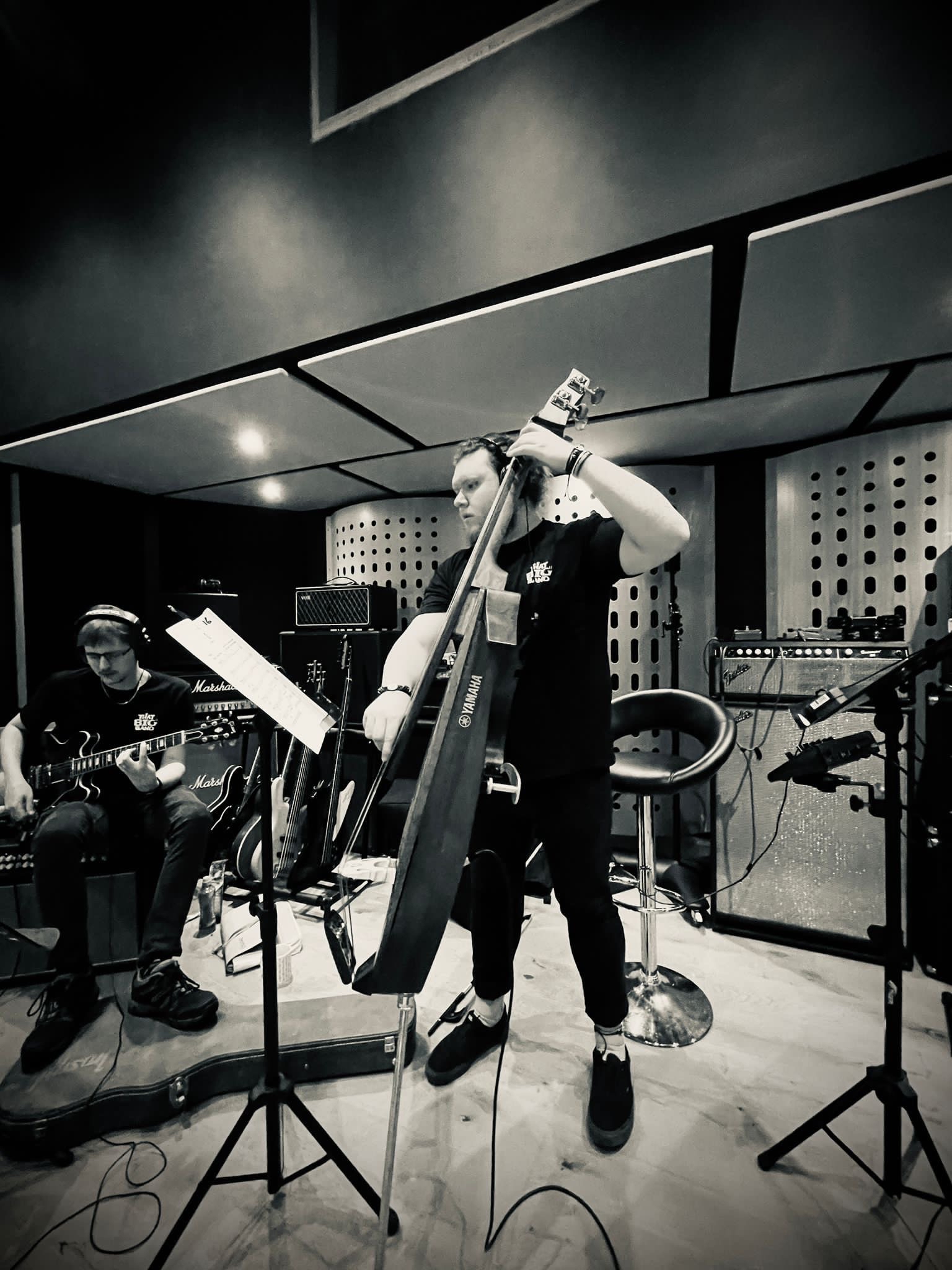 Upright bass performance