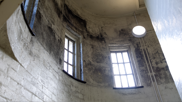 damp-condensation-control